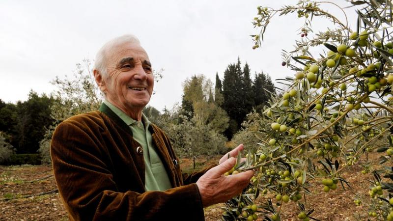 Dans sa propriété de Mouriès, Charles Aznavour produisait sa propre huile d'olives