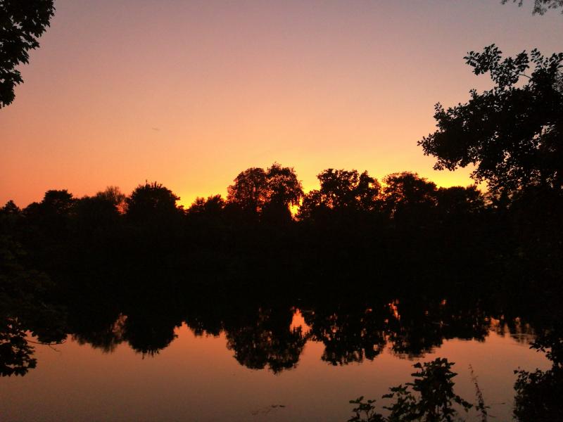 Magnifique sous le coucher du soleil