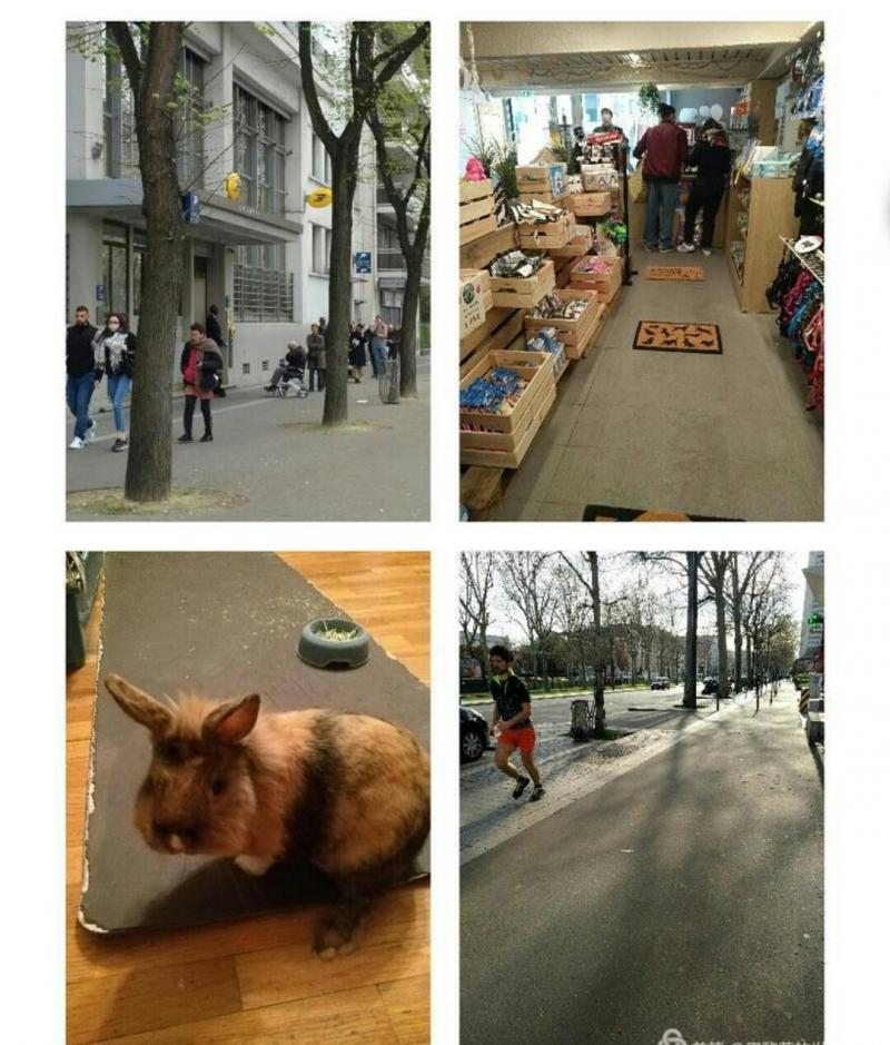 Marches
